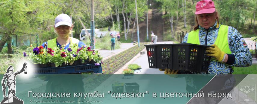 Городские клумбы &quot;одевают&quot; в цветочный наряд