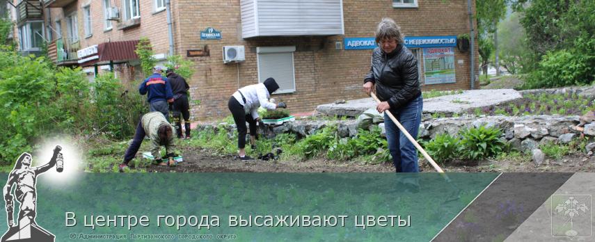 В центре города высаживают цветы